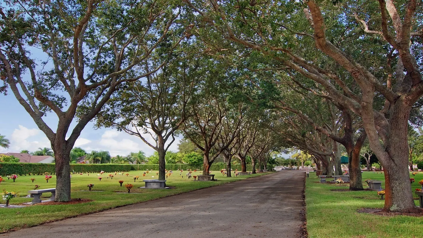 Tree-lined street in Riverside and Avondale, Jacksonville